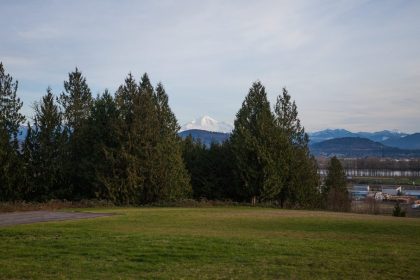 View from the neighbourhood
