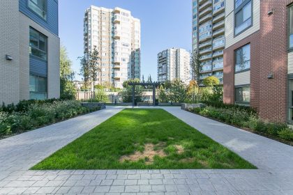 Shared Courtyard