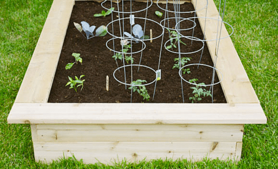 Build your own Spring Garden Box!